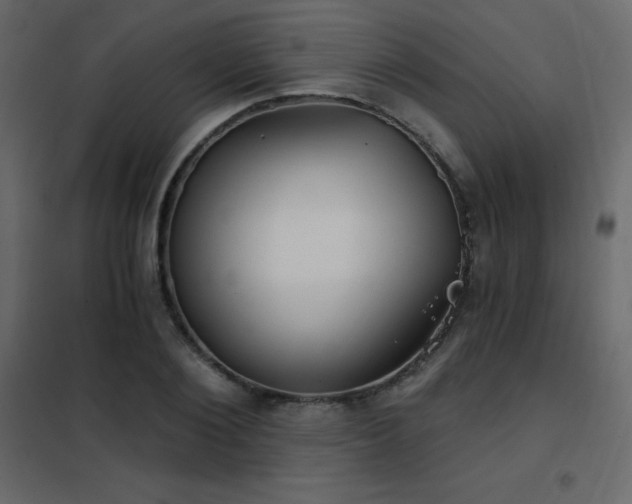 X0000102530884200808081449