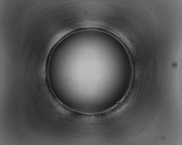 X0000102530885200808081449