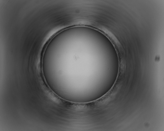 X0000102530886200808081449