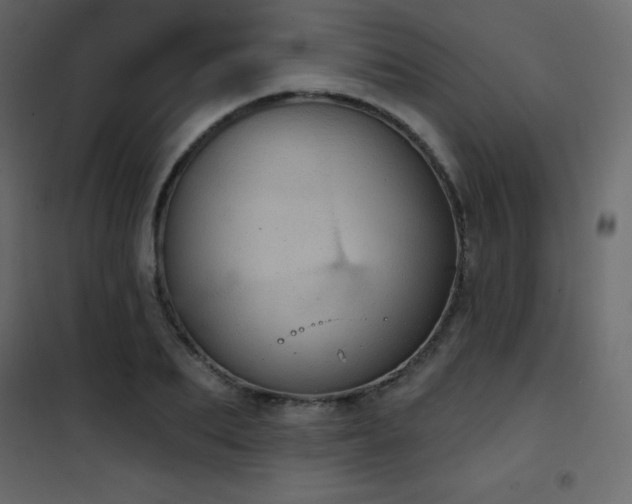 X0000102530887200808081449