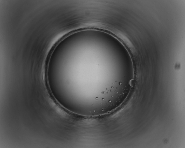 X0000102530888200808081449