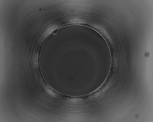 X0000102530889200808081449