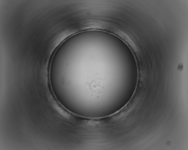 X0000102530890200808081449