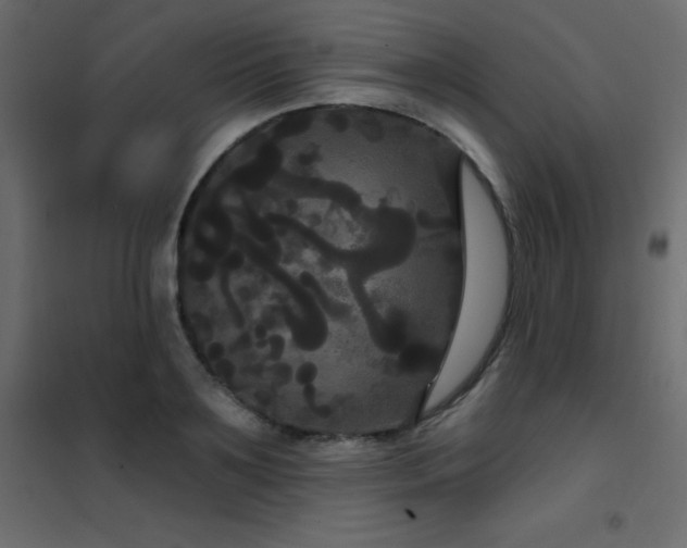 X0000102530891200808081449