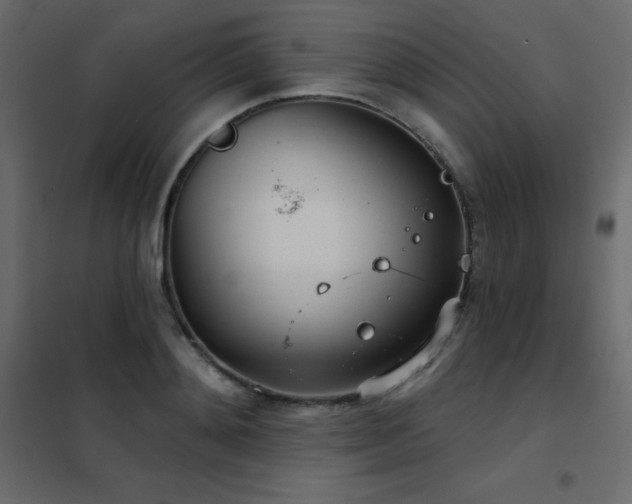 X0000102530892200808081449