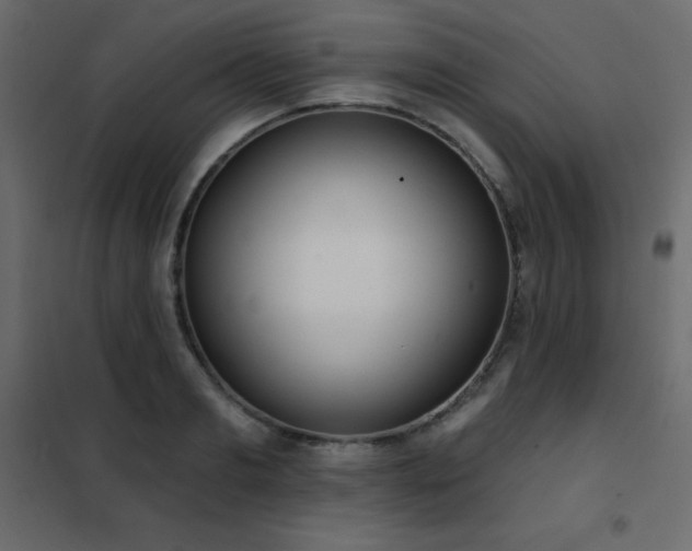 X0000102530893200808081449