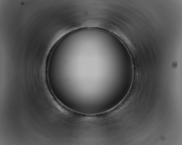X0000102530894200808081449