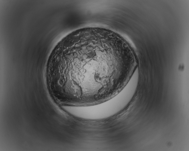 X0000102530895200808081449