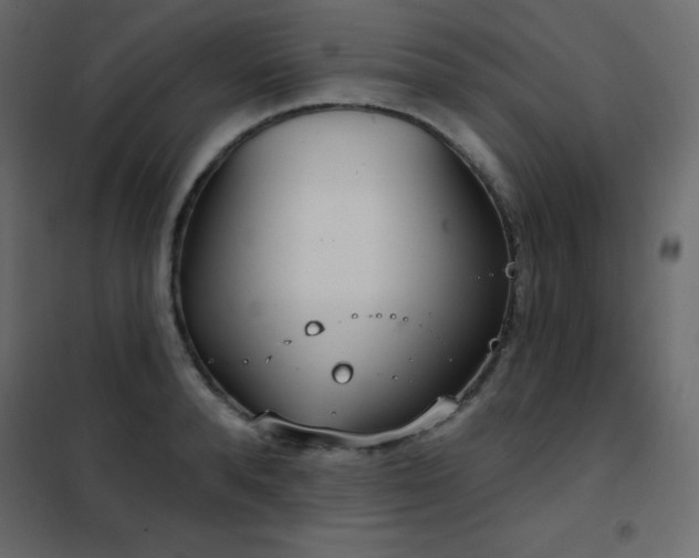 X0000102530896200808081449