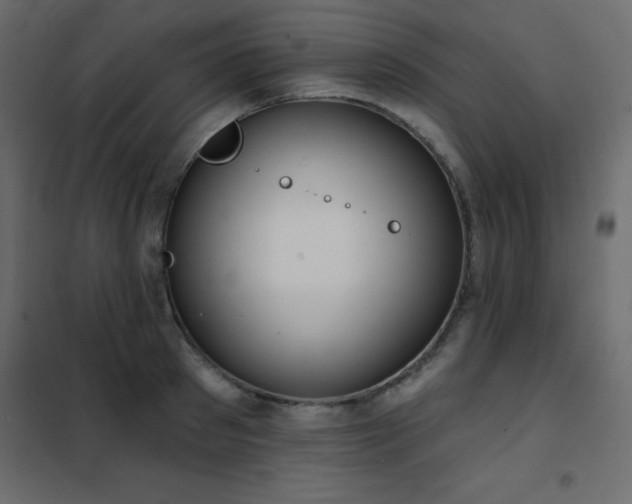 X0000102530897200808081449