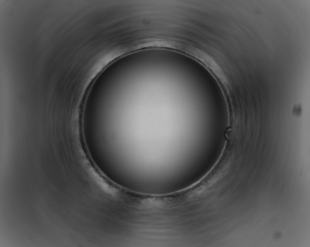 X0000102530898200808081449