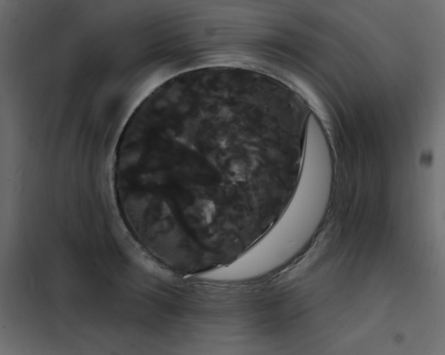 X0000102530899200808081449