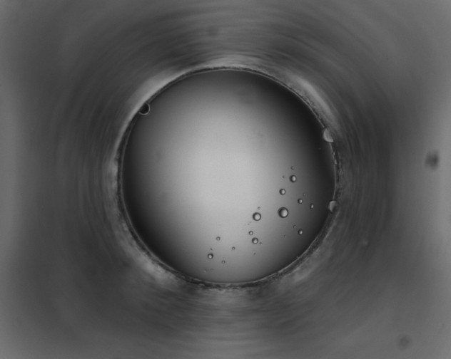 X0000102530900200808081449