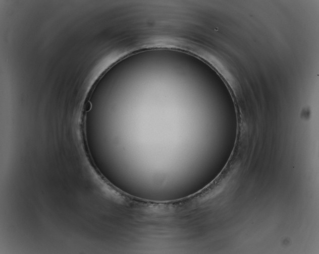 X0000102530901200808081449
