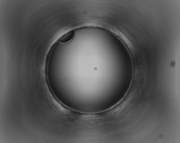 X0000102530902200808081449