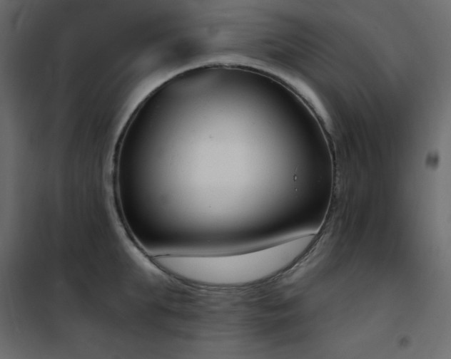 X0000102530903200808081449