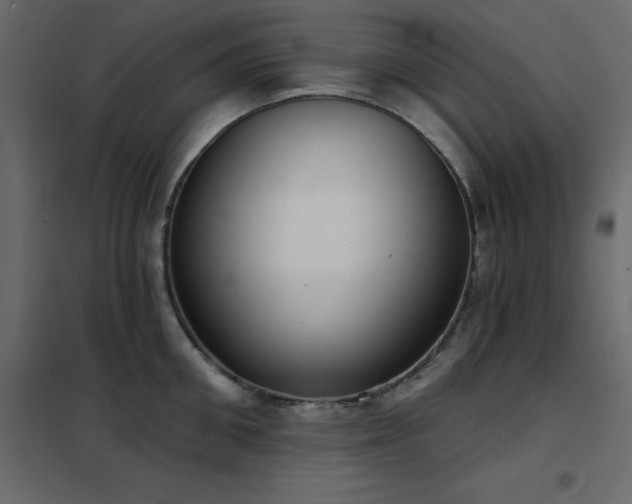 X0000102530906200808081449