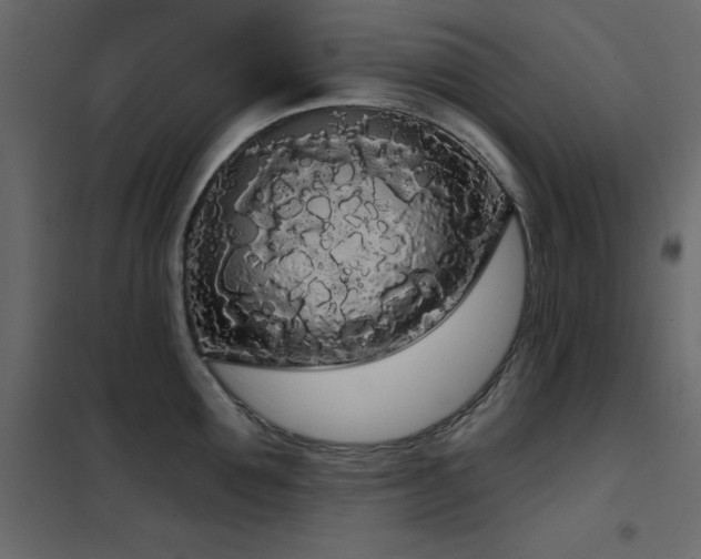 X0000102530907200808081449