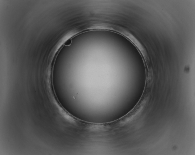 X0000102530909200808081449