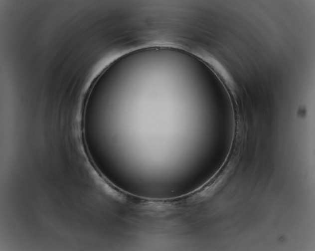 X0000102530910200808081449