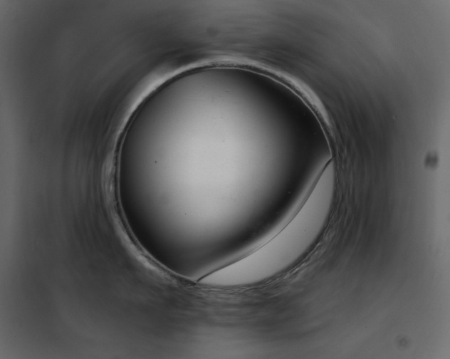 X0000102530911200808081448