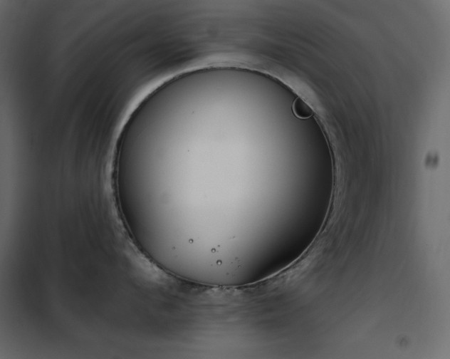 X0000102530912200808081448