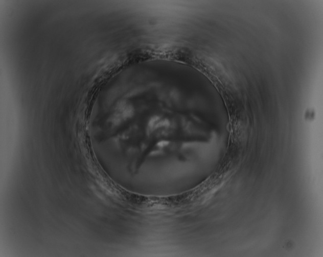 X0000102530913200808081448