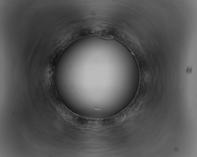 X0000102530914200808081448
