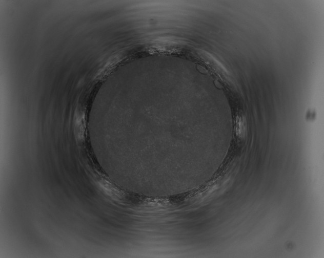 X0000102530915200808081448
