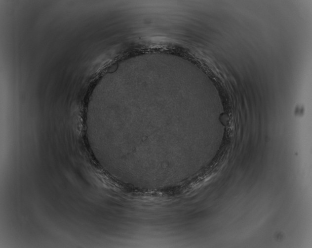 X0000102530916200808081448