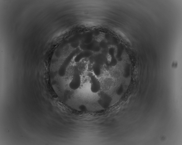 X0000102530917200808081448