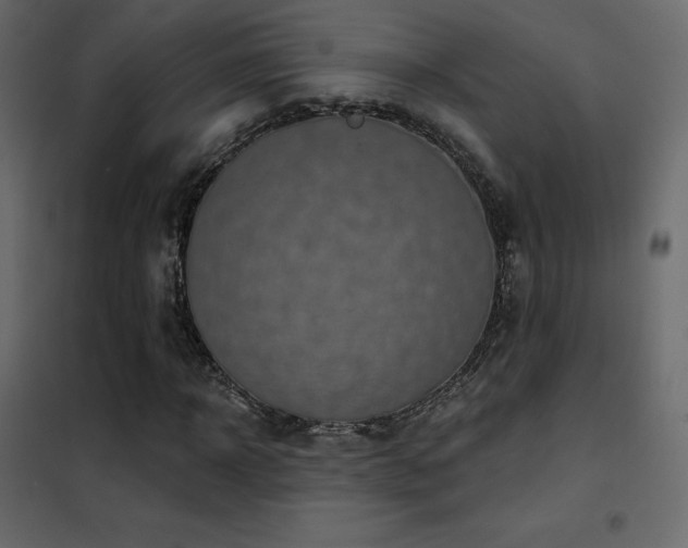 X0000102530918200808081448