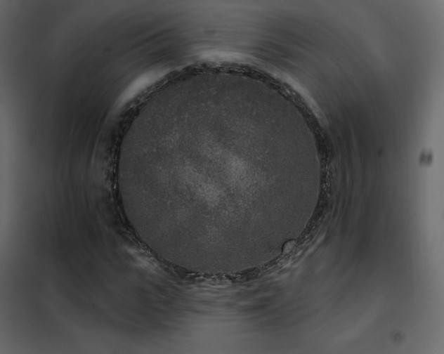 X0000102530919200808081448