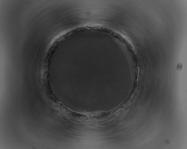 X0000102530920200808081448