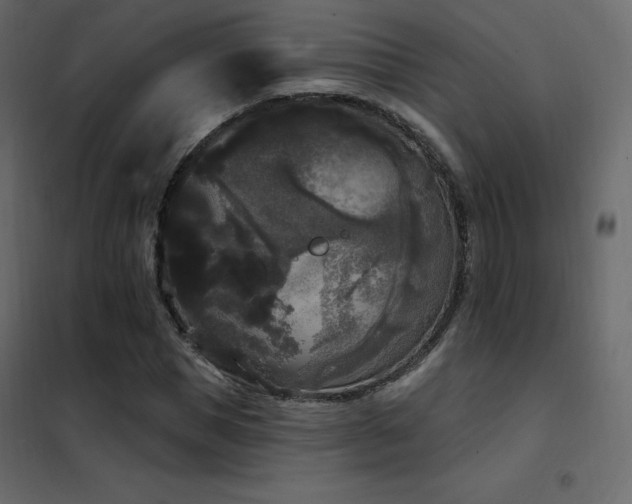 X0000102530921200808081448