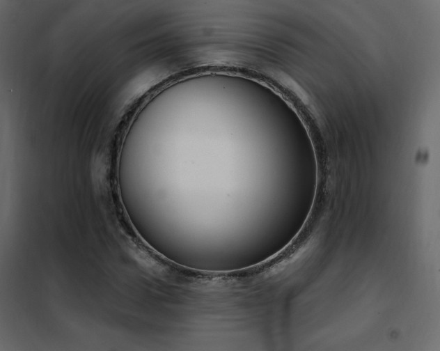 X0000102530922200808081448