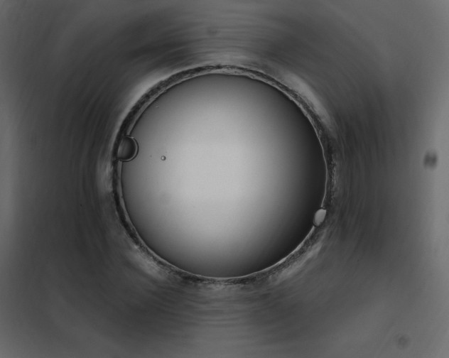 X0000102530924200808081448