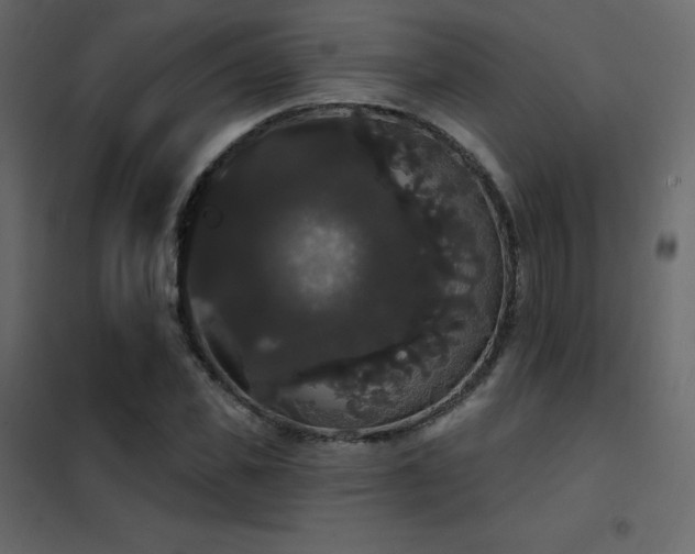 X0000102530925200808081448