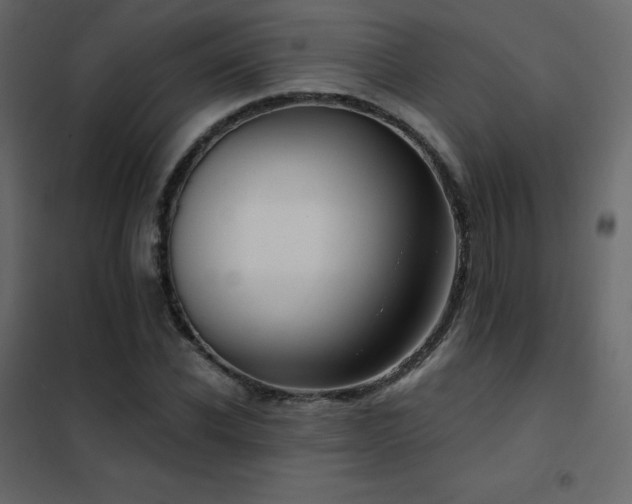 X0000102530926200808081448