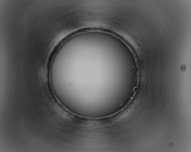 X0000102530927200808081448