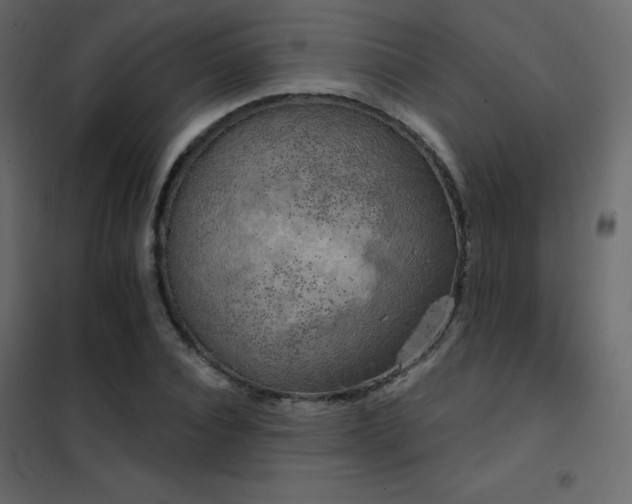X0000102530928200808081448