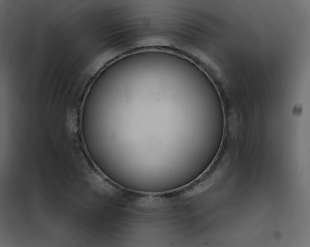 X0000102530929200808081448