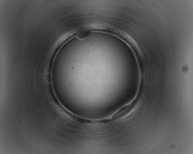 X0000102530930200808081448