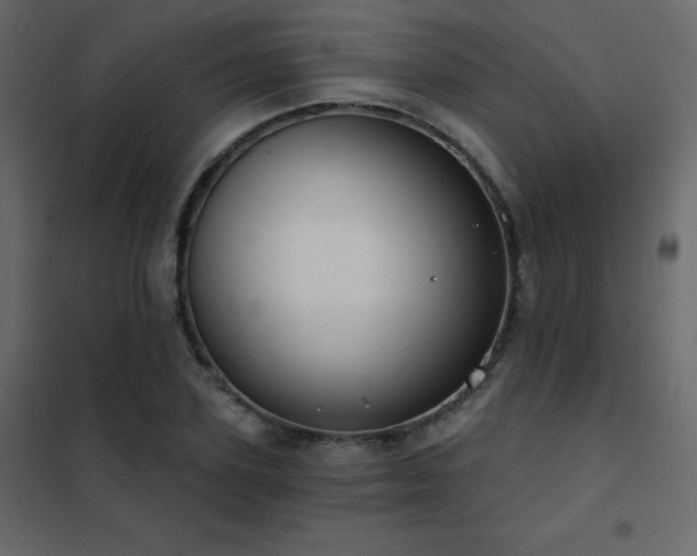 X0000102530931200808081448