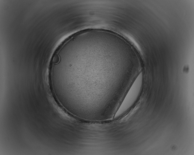 X0000102530932200808081448