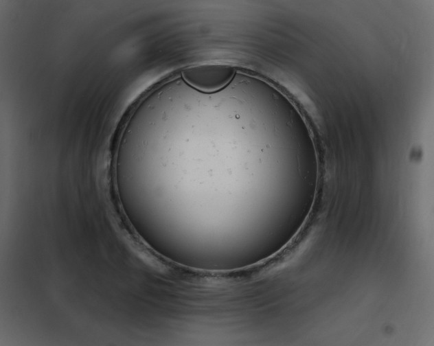 X0000102530933200808081448