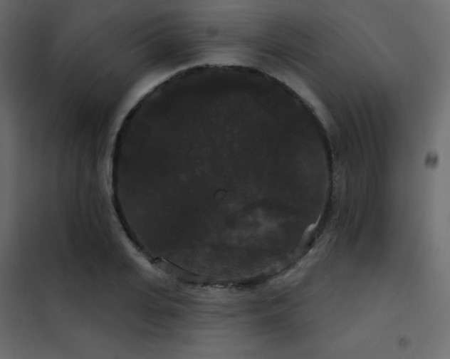 X0000102530935200808081448