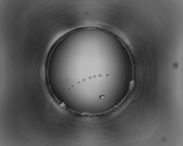 X0000102530936200808081448