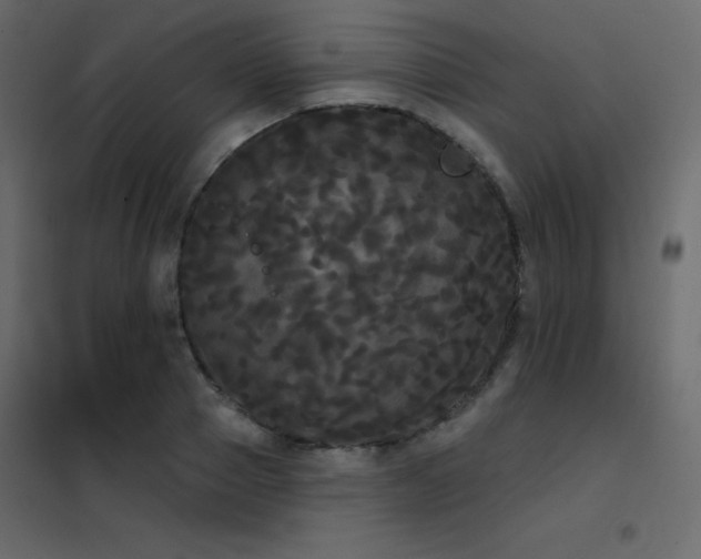 X0000102530937200808081448