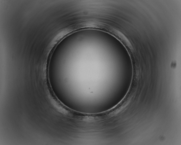 X0000102530938200808081448